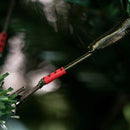 Árvore De Natal Pinheiro Riviera Grande Cheia Promoção Luxo 790 Galhos 1,80 Metro Verde